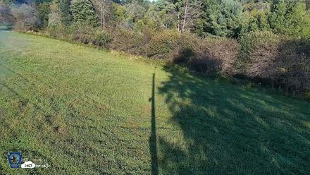 Pennsylvania Elk Live Webcam - Sep 10, 2026, 5:53pm EDT