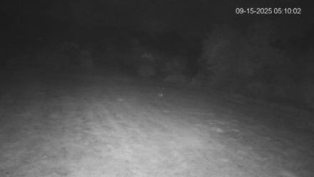 Pennsylvania Elk Live Webcam - Sep 15, 2025, 5:10am EDT