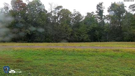 Pennsylvania Elk Live Webcam - Sep 27, 2026, 2:33pm EDT