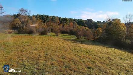 Pennsylvania Elk Live Webcam - Oct 3, 2026, 9:12am EDT