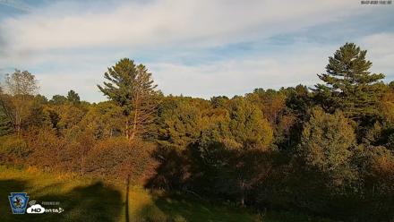Pennsylvania Elk Live Webcam - Sep 7, 2026, 6:22pm EDT