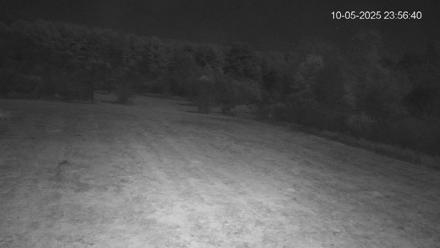 Pennsylvania Elk Live Webcam - Oct 5, 2025, 11:57pm EDT