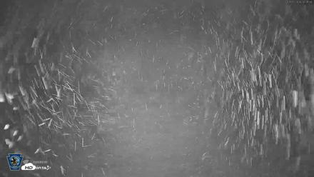 Pennsylvania Elk Live Webcam - Sep 5, 2026, 6:04am EDT