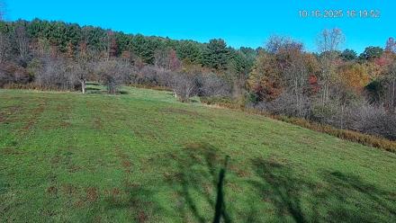 Pennsylvania Elk Live Webcam - Oct 16, 2025, 4:20pm EDT