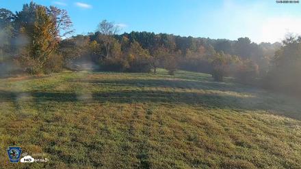 Pennsylvania Elk Live Webcam - Oct 3, 2026, 8:19am EDT