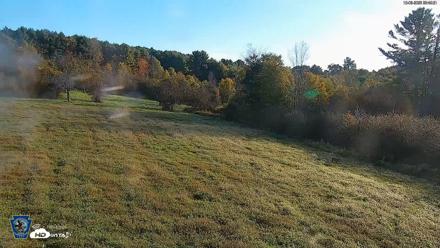 Pennsylvania Elk Live Webcam - Oct 3, 2026, 8:49am EDT