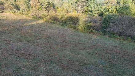 Pennsylvania Elk Live Webcam - Sep 10, 2025, 6:30pm EDT