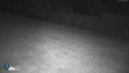 Pennsylvania Elk Live Webcam - Aug 27, 2026, 1:12am EDT