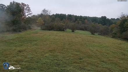 Pennsylvania Elk Live Webcam - Oct 1, 2026, 7:03am EDT