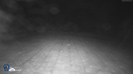 Pennsylvania Elk Live Webcam - Sep 9, 2026, 12:24am EDT