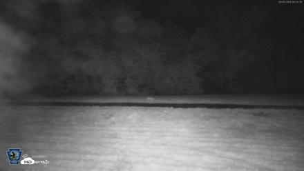 Pennsylvania Elk Live Webcam - Sep 4, 2026, 4:26am EDT