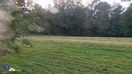 Pennsylvania Elk Live Webcam - Sep 9, 2026, 6:59pm EDT