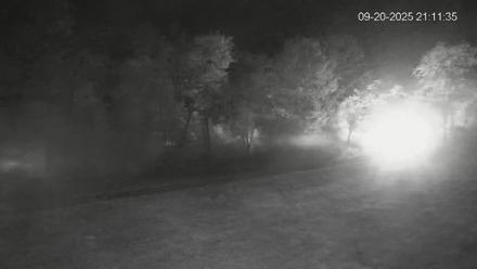 Pennsylvania Elk Live Webcam - Sep 20, 2025, 9:12pm EDT