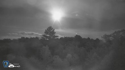 Pennsylvania Elk Live Webcam - Aug 27, 2026, 9:49pm EDT