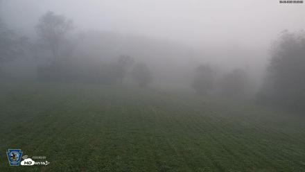 Pennsylvania Elk Live Webcam - Sep 6, 2026, 6:27am EDT