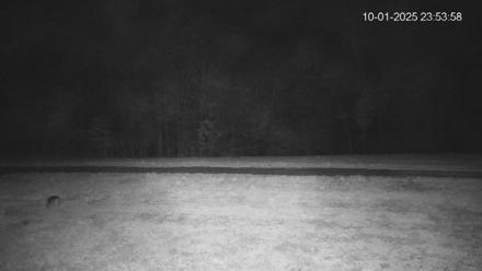 Pennsylvania Elk Live Webcam - Oct 1, 2025, 11:54pm EDT