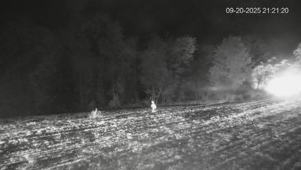 Pennsylvania Elk Live Webcam - Sep 20, 2025, 9:22pm EDT