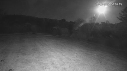 Pennsylvania Elk Live Webcam - Oct 8, 2025, 8:29pm EDT