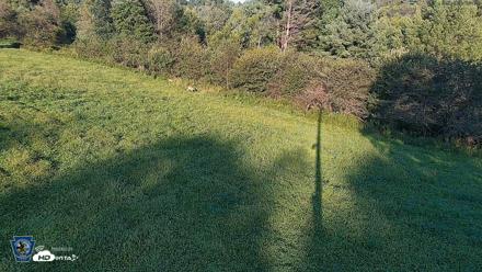 Pennsylvania Elk Live Webcam - Aug 21, 2026, 6:35pm EDT