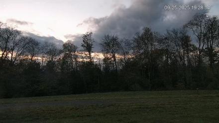 Pennsylvania Elk Live Webcam - Sep 25, 2025, 7:30pm EDT