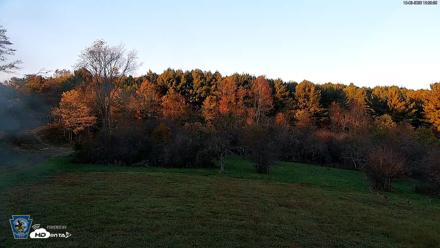 Pennsylvania Elk Live Webcam - Oct 3, 2026, 6:30pm EDT