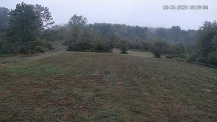 Pennsylvania Elk Live Webcam - Sep 5, 2025, 6:30am EDT