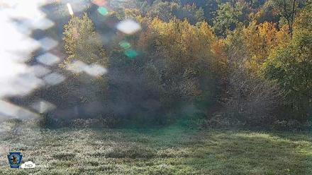 Pennsylvania Elk Live Webcam - Oct 3, 2026, 9:03am EDT