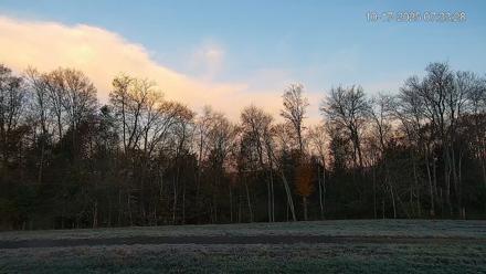 Pennsylvania Elk Live Webcam - Oct 17, 2025, 7:34am EDT