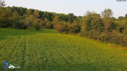 Pennsylvania Elk Live Webcam - Aug 9, 2026, 6:50pm EDT