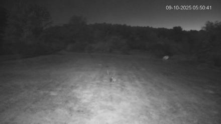 Pennsylvania Elk Live Webcam - Sep 10, 2025, 5:51am EDT