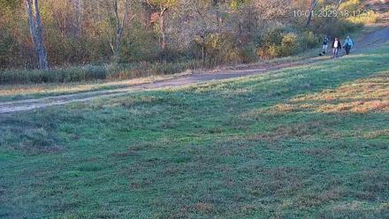 Pennsylvania Elk Live Webcam - Oct 1, 2025, 6:14pm EDT