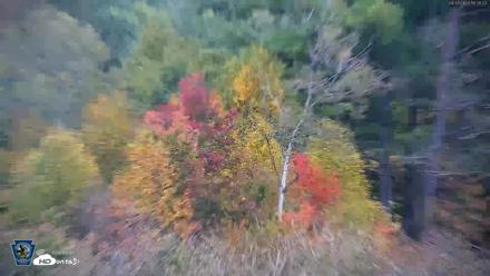 Pennsylvania Elk Live Webcam - Sep 29, 2026, 6:32pm EDT