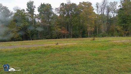 Pennsylvania Elk Live Webcam - Oct 1, 2026, 12:49pm EDT