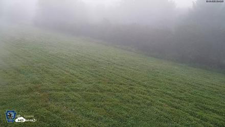 Pennsylvania Elk Live Webcam - Sep 8, 2026, 6:44am EDT