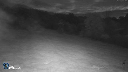 Pennsylvania Elk Live Webcam - Oct 2, 2026, 6:21am EDT