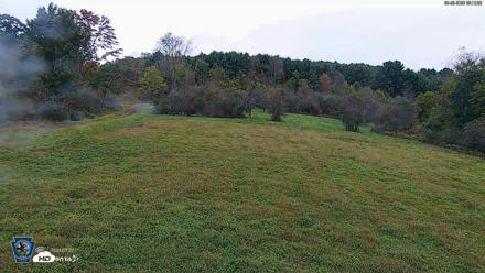 Pennsylvania Elk Live Webcam - Sep 29, 2026, 9:13am EDT