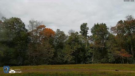 Pennsylvania Elk Live Webcam - Sep 30, 2026, 11:56am EDT