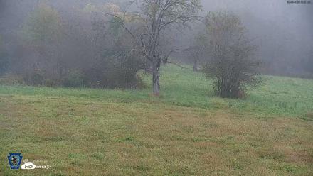 Pennsylvania Elk Live Webcam - Sep 30, 2026, 9:04am EDT
