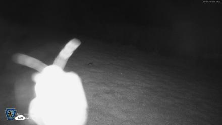 Pennsylvania Elk Live Webcam - Sep 30, 2026, 1:00am EDT
