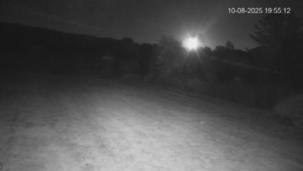 Pennsylvania Elk Live Webcam - Oct 8, 2025, 7:55pm EDT