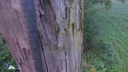 Pennsylvania Elk Live Webcam - Sep 7, 2026, 7:38am EDT