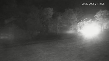 Pennsylvania Elk Live Webcam - Sep 20, 2025, 9:11pm EDT