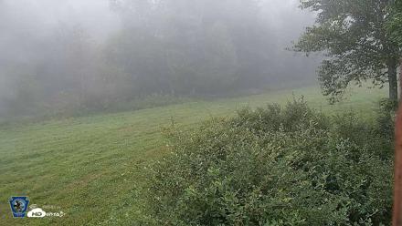 Pennsylvania Elk Live Webcam - Sep 7, 2026, 6:44am EDT