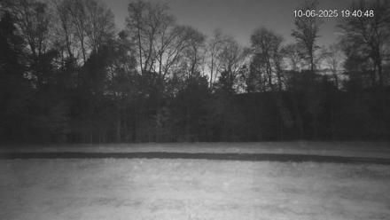 Pennsylvania Elk Live Webcam - Oct 6, 2025, 7:41pm EDT