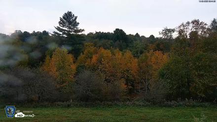 Pennsylvania Elk Live Webcam - Oct 2, 2026, 8:45am EDT