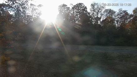 Pennsylvania Elk Live Webcam - Sep 20, 2025, 6:18pm EDT