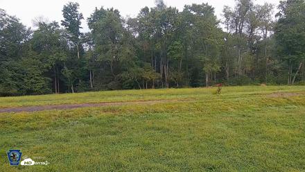 Pennsylvania Elk Live Webcam - Aug 27, 2026, 8:27am EDT
