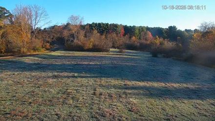 Pennsylvania Elk Live Webcam - Oct 16, 2025, 8:16am EDT