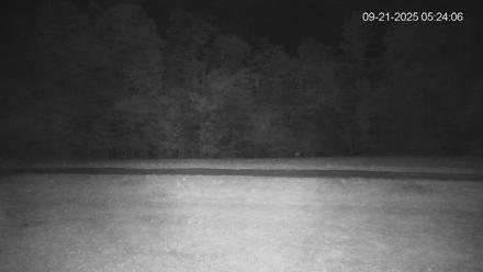 Pennsylvania Elk Live Webcam - Sep 21, 2025, 5:24am EDT