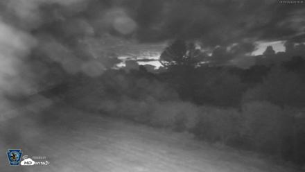 Pennsylvania Elk Live Webcam - Sep 9, 2026, 5:59am EDT